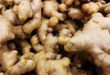 Ginger: Traditional Indonesia's Spice with Proven Benefits for Health