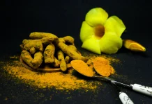 Curcuma: Indonesia’s Temulawak Studied for Liver Protection, and Antioxidant