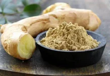 White Turmeric: Potential Antioxidant, Digestive, and Skin Health Applications