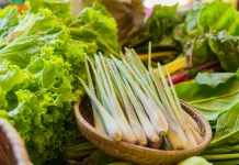 Lemongrass: Indonesian Aromatic Herb with Antioxidant and Relaxation Benefits