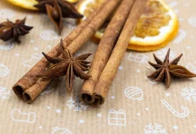 Cinnamomum Burmannii: Indonesian Cinnamon Studied for Natural Health Benefits