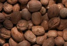 Myristica Fragrans: Indonesian Nutmeg with Antioxidant and Wellness Potential