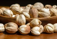 Amomum Compactum: Indonesian Cardamom with Essential Oils for Digestion