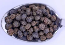 Piper Nigrum: Indonesian Black Pepper with Piperine Compound for Metabolism