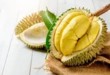 Durio Zibethinus: Indonesian Durian Studied for Bioactive & Nutritional Value