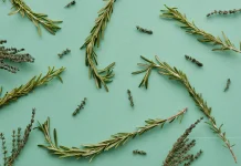 Rosemary: The Memory Herb for Brain and Hair Health