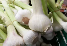Garlic: The Everyday Superfood for Heart and Immunity