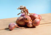 The Hidden Quercetin Benefits in Everyday Onions
