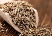 Cumin: The Secret Spice for Metabolic Wellness