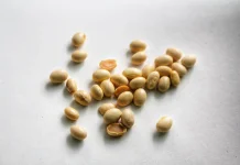Soybean Benefits for Heart and Women's Health