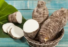 Taro: The Traditional Root Crop Studied for Digestive Fiber & Gluten-Free Nutrition