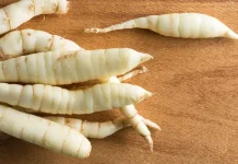 Arrowroot: The Gentle Starch Transforming Gluten-Free Foods