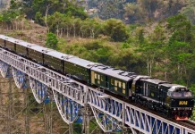 Ticket Discounts & New Train Launch Mark the Indonesian Railway Day Celebration