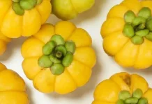 Garcinia atroviridis: Health & Metabolic Benefits of Asam Gelugur