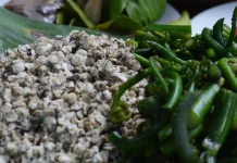 Lokan Fern Rendang Combines River Clams and Young Ferns