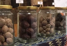Indonesia's Moluccan Nutmeg Drives the Global Spice Trade