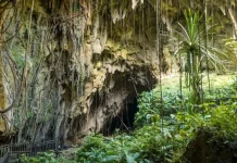 Exploring World War II History at the Japanese Cave in Biak