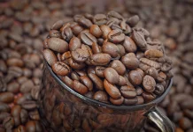 Robusta Coffee: The High-Caffeine, Antioxidant-Rich Bean