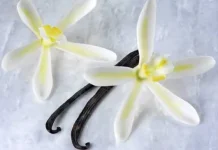 Indonesian Vanilla: From Natural Aroma to Skincare Trends