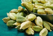 Green Cardamom for Digestion and Metabolic Wellness
