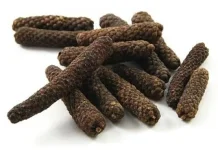 Piper Longum: Indonesian Long Pepper for Digestion, Metabolism & Medicine