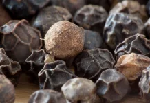 Cubeb Pepper Studied for Aromatic Oils and Respiratory Care