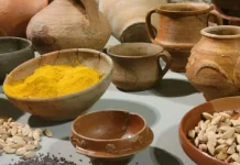 Negeri Gayo Museum in Aceh Has Fossils of Ancient Humans