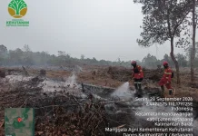 BNPB: Unextinguished Land Fires in Six Provinces Down by 62.29 Hectares