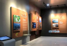 Natuna Museum Has Artifacts from a Shipwreck