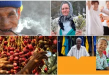 International Day of Older Persons: Rethinking Systems for Longer Lives