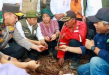 Minister: National Peatland and Mangrove Management Agency to be Established Soon