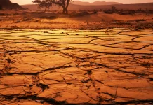 August 2026 was Indonesia’s Second-Driest August since 1991