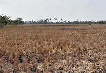 Government Ensures Water Availability Until Rainy Season