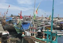 Tangerang Bans Sale of Coastal Fish Amid Chemical Pollution Concerns