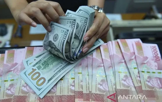 Current Rupiah Exchange Rate is Undervalued: BI - RRI.co.id