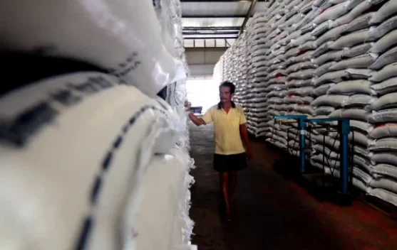 Indonesia Eyes Global Rice Export as National Surplus Hits Historic ...