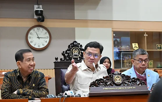 House of Representatives Demands Investigation of Acid Attack on Activist