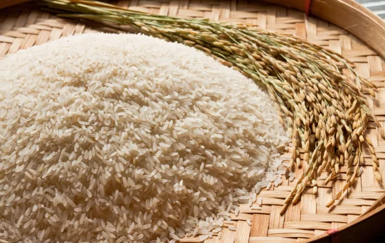 The Potential Rice Production for April–June 2026 is Projected at 9.61 ...