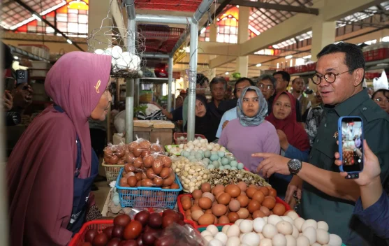 Government Safeguards Supply and Prices of Basic Goods Nationwide