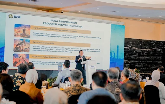Government Accelerates the Restructuring of the Energy Sector