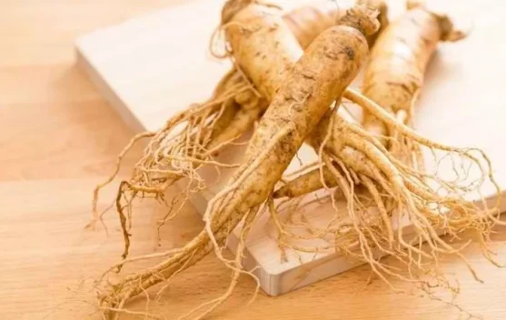 Discover the Various Benefits of Ginseng for Body Health
