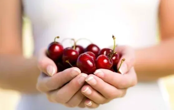 The Benefits of Cherry Fruit for Health, from Boosting Immunity to Overcoming Insom