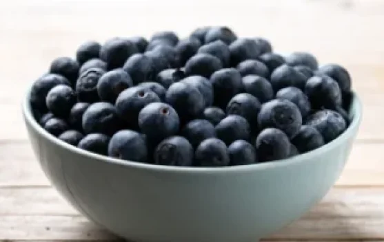 Blueberry, Small Fruit with a Wealth of Health Benefits
