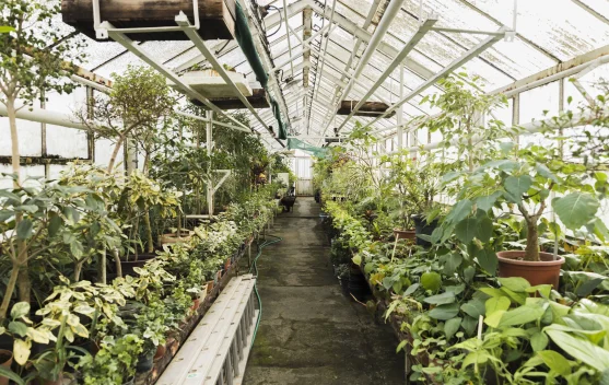Indonesia, South Korea Cooperate in Smart Greenhouses