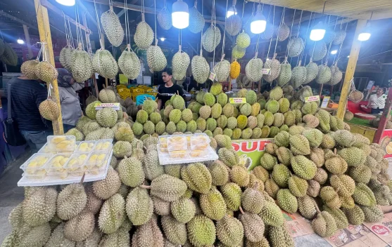 Durian Exports in Transmigration Areas Drive Its Prices Up to Sixfolds: Minister