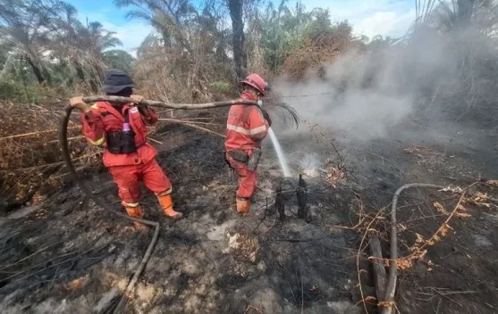 Indonesian Government Expands Alert Zone Over Forest and Land Fire Impacts