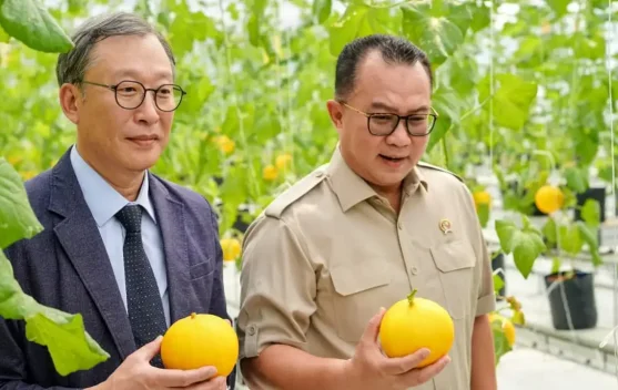 Indonesia-South Korea Inaugurates Smart Greenhouse for Tropical Agriculture