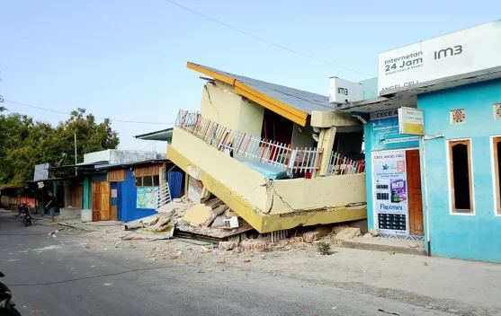 Govt Moves Swiftly to Address Impact of M7.7 Earthquake in East Nusa Tenggara