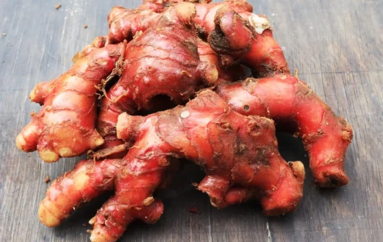 Ginger: a Natural Solution to Fight Antimicrobial Resistance