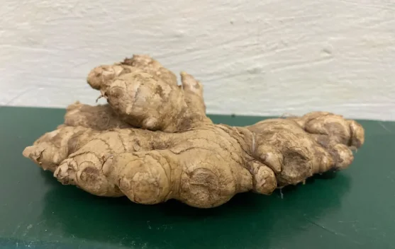Ginger Powers Indonesia's Traditional Medicine Revival